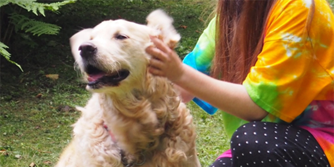 girl stroking dogs head